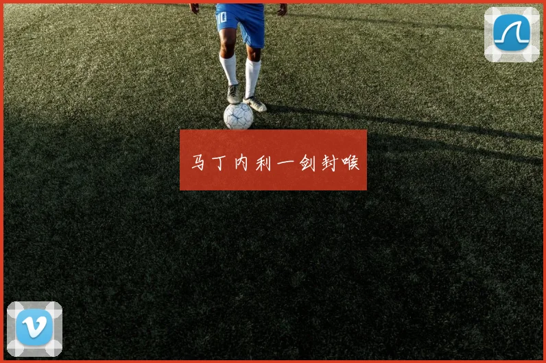 马丁内利一剑封喉