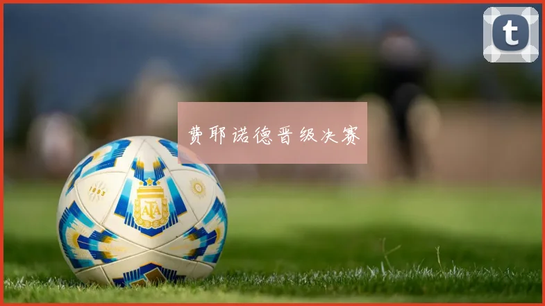 费耶诺德晋级决赛
