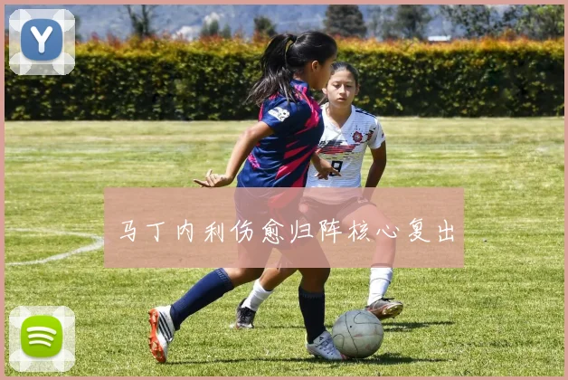 马丁内利伤愈归阵核心复出