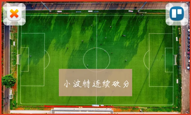 小波特连续砍分