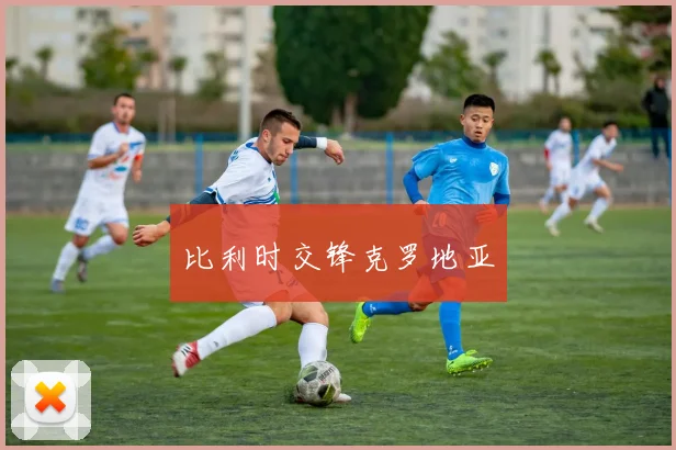 比利时交锋克罗地亚