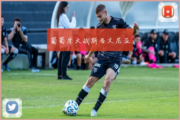 葡萄牙大战斯洛文尼亚