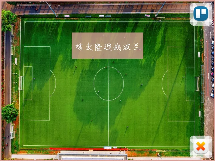 喀麦隆迎战波兰