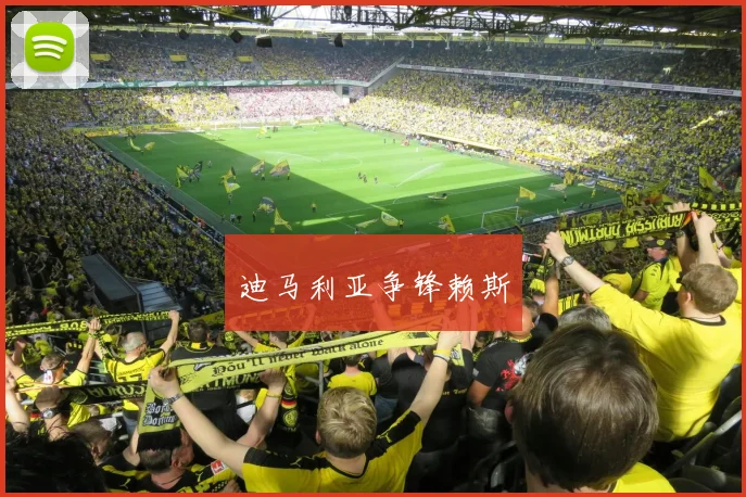 迪马利亚争锋赖斯