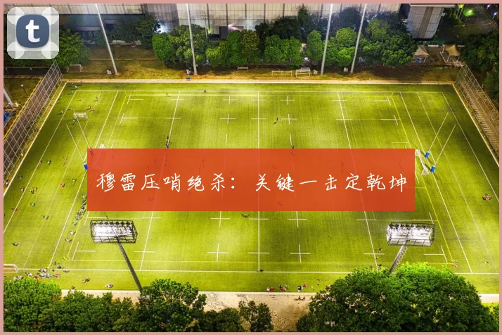 穆雷压哨绝杀:关键一击定乾坤
