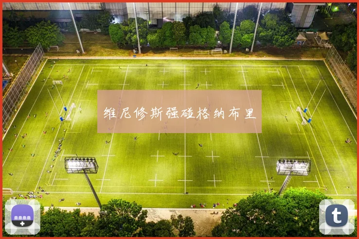 维尼修斯强碰格纳布里