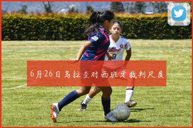 6月26日乌拉圭对西班牙裁判尺度