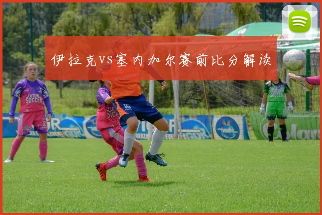 伊拉克vs塞内加尔赛前比分解读