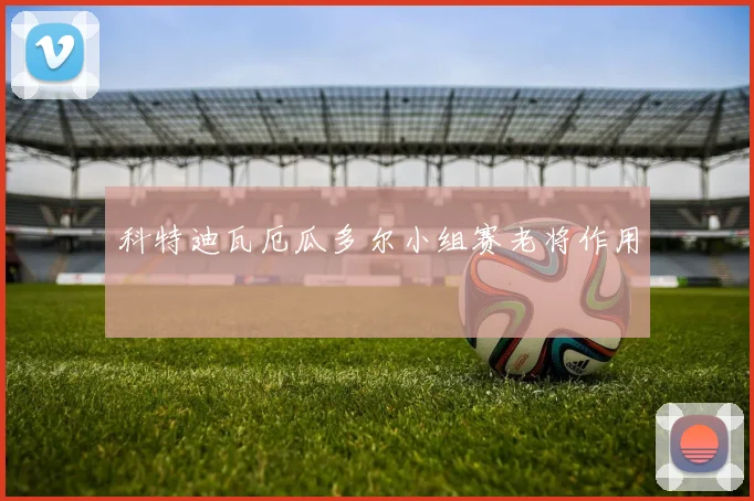 科特迪瓦厄瓜多尔小组赛老将作用