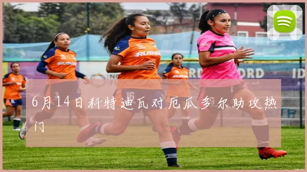 6月14日科特迪瓦对厄瓜多尔助攻热门
