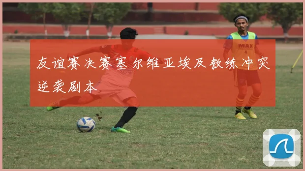 友谊赛决赛塞尔维亚埃及教练冲突逆袭剧本
