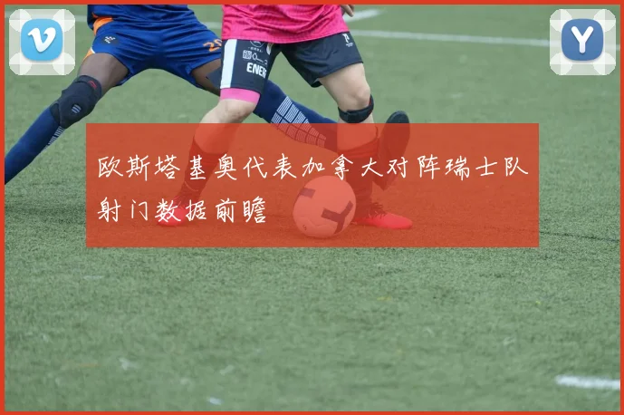 欧斯塔基奥代表加拿大对阵瑞士队射门数据前瞻