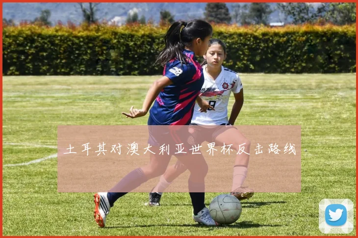 土耳其对澳大利亚世界杯反击路线