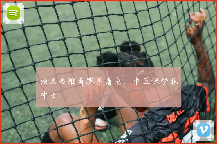 帕夫洛维奇赛季看点:中卫保护抗冲击
