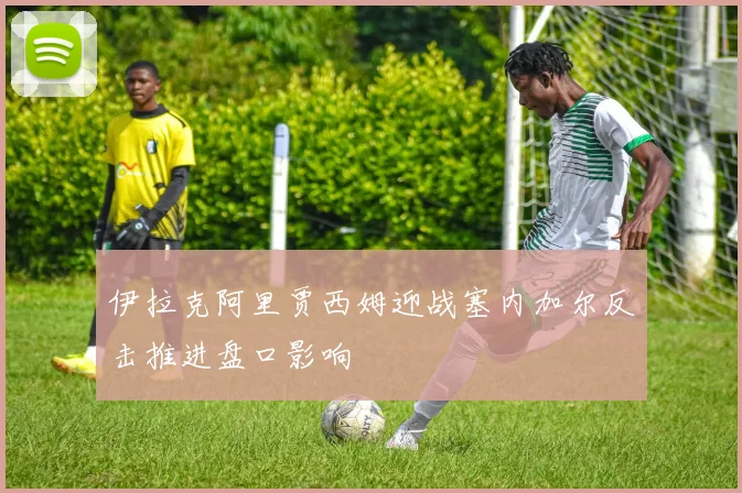 伊拉克阿里贾西姆迎战塞内加尔反击推进盘口影响